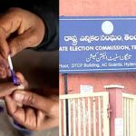 23న ‘లోకల్’ కోడ్!